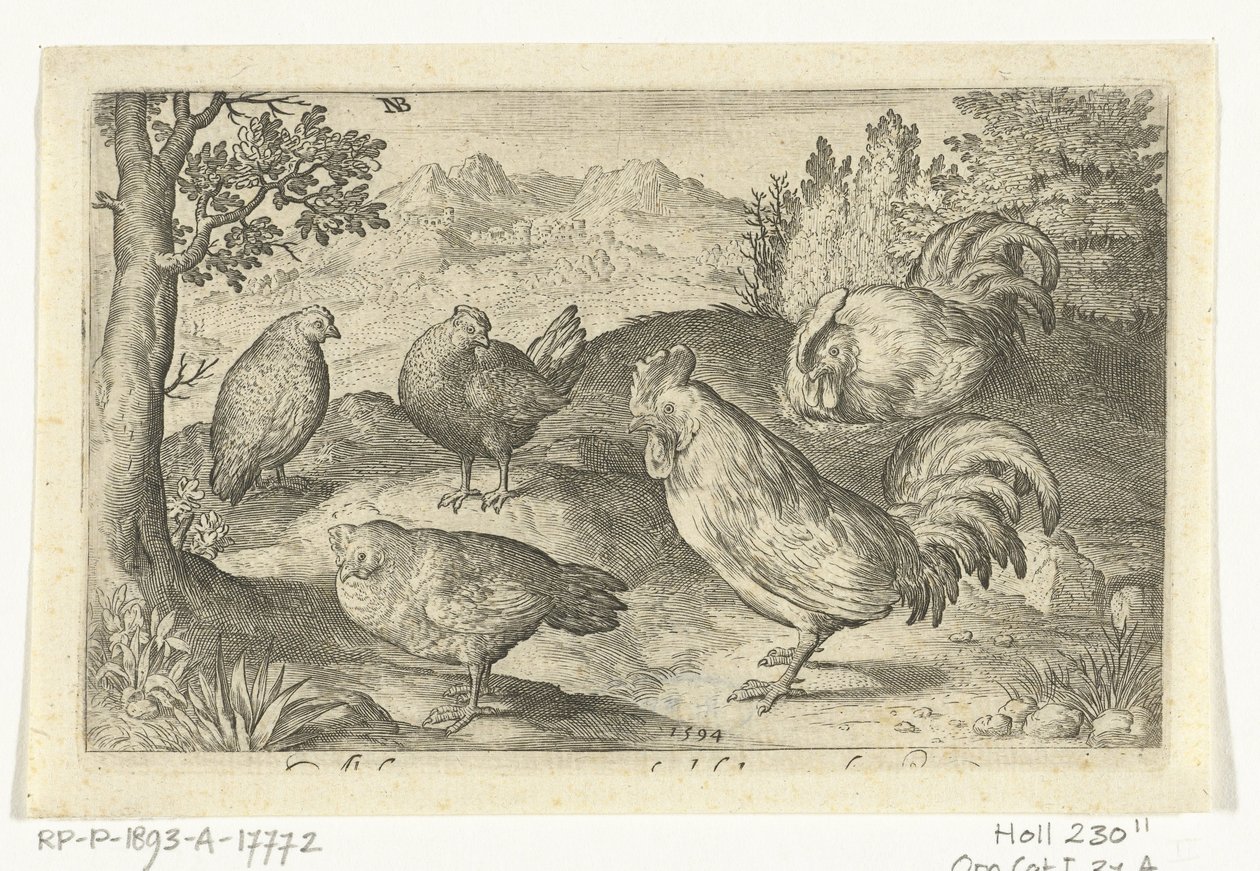三只鸡和两只公鸡 鸟类和昆虫（系列名称） 作者 尼古拉斯·德·布鲁因