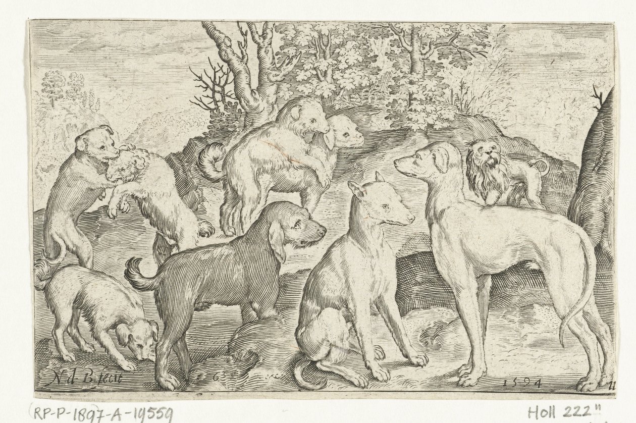 九只狗
Animalivm qvadrvpedvm（系列名称）
风景中的动物（系列名称） 作者 尼古拉斯·德·布鲁因