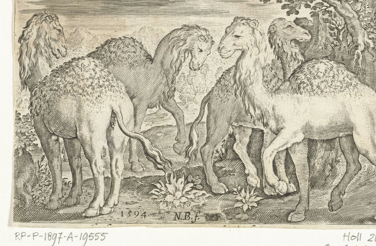 四只单峰驼
Animalivm qvadrvpedvm（系列名称）
风景中的动物（系列名称） 作者 尼古拉斯·德·布鲁因