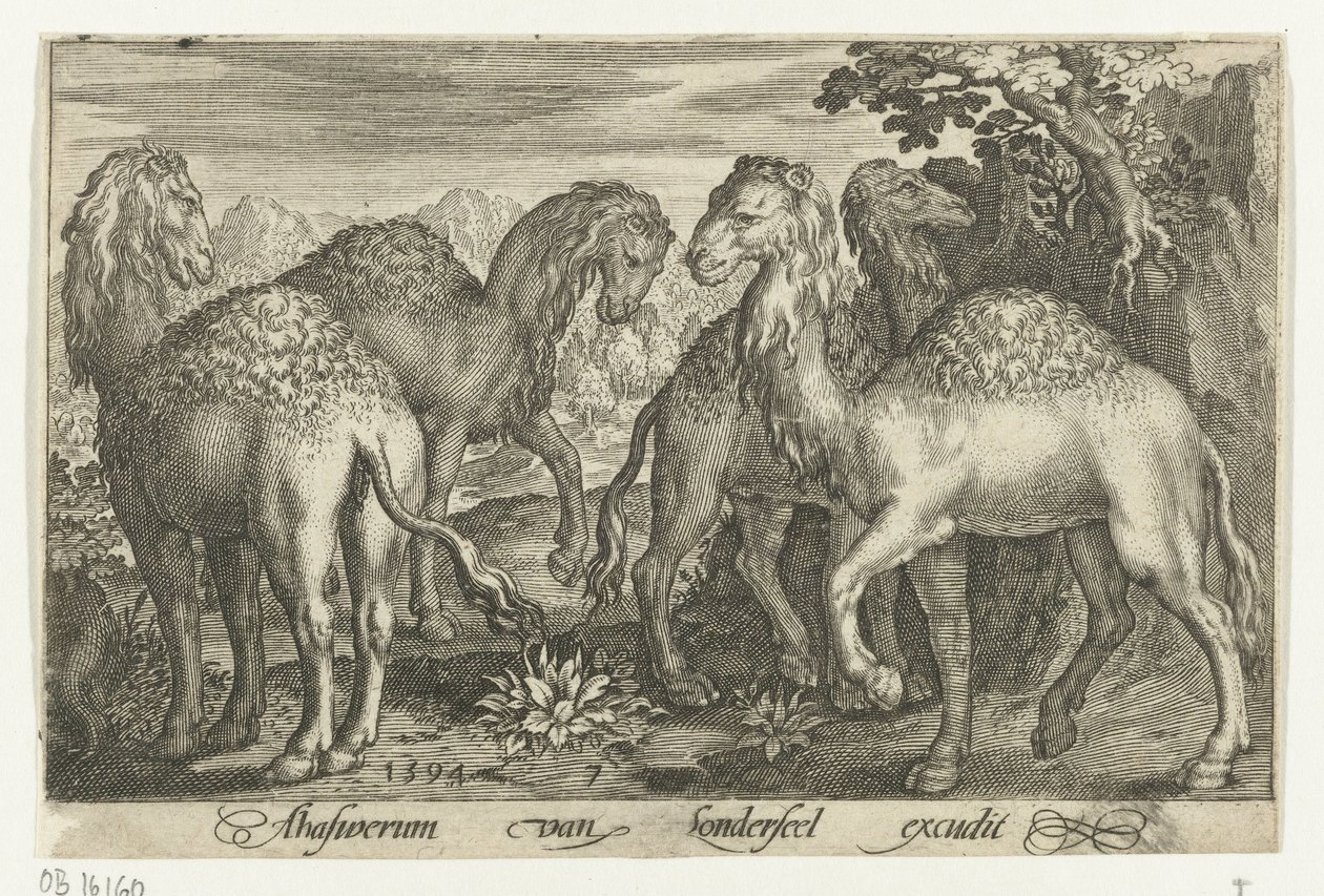 四只单峰驼
Animalivm qvadrvpedvm（系列名称）
风景中的动物（系列名称） 作者 尼古拉斯·德·布鲁因