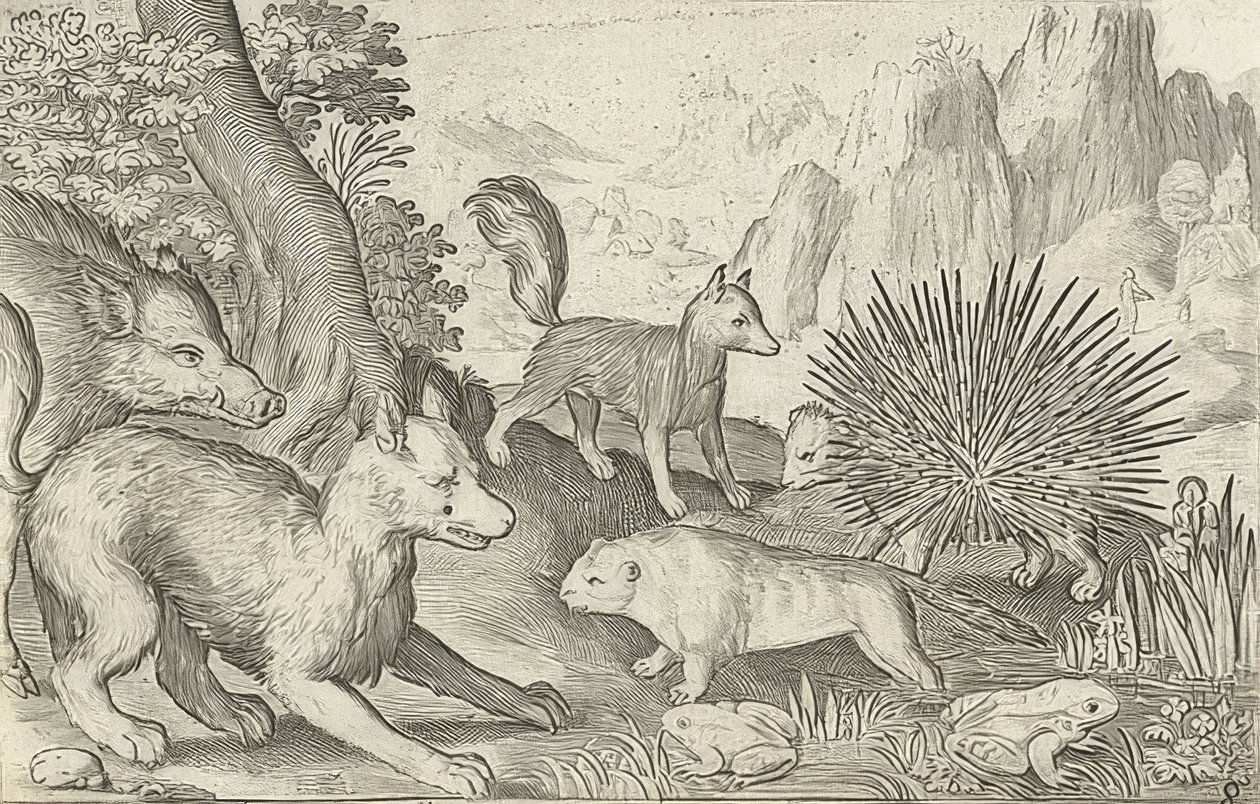 野猪，狐狸，海狸，豪猪和青蛙。 1621 作者 尼古拉斯·德·布鲁因