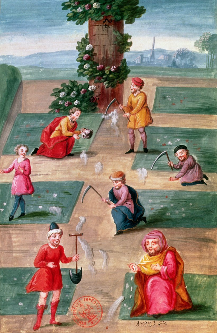 女士14765 f.42-43寻求物质黄金的法国炼金术士，据称由Nicolas Flamel撰写（c.1330-1418） 作者 尼古拉斯（Nicolas Flamel）