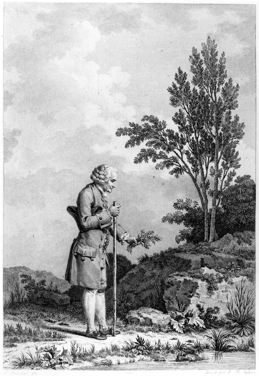 Jean-Jacques Rousseau（1712-78）1778年6月在Ermenonville收集草药，由Louis Michel Halbou雕刻（b.1730） 作者 尼古拉斯·安德烈·蒙西奥