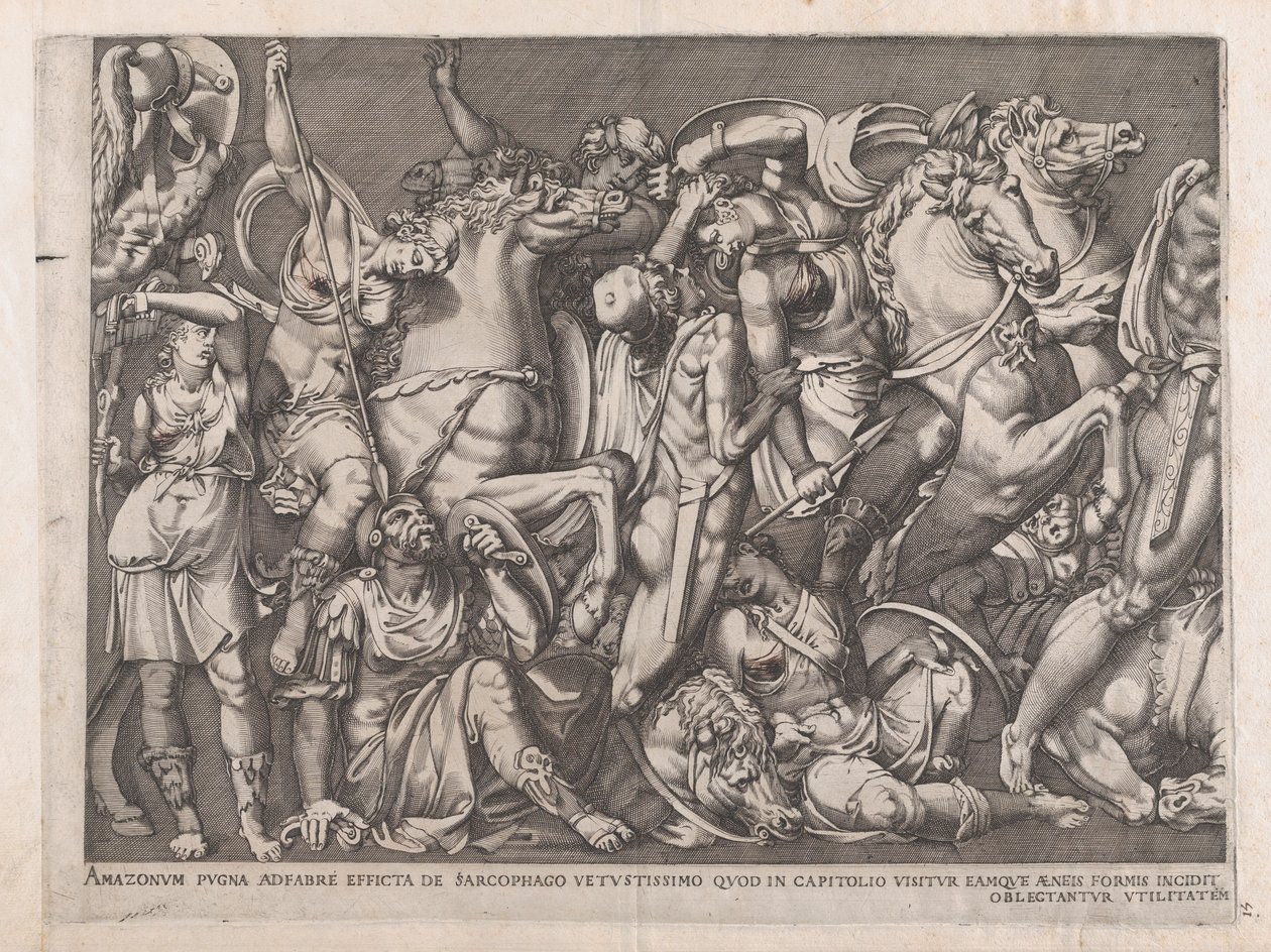 Speculum Romanae Magnificentiae：亚马逊之战，1559年，1559年。 作者 尼古拉斯·贝阿特丽泽