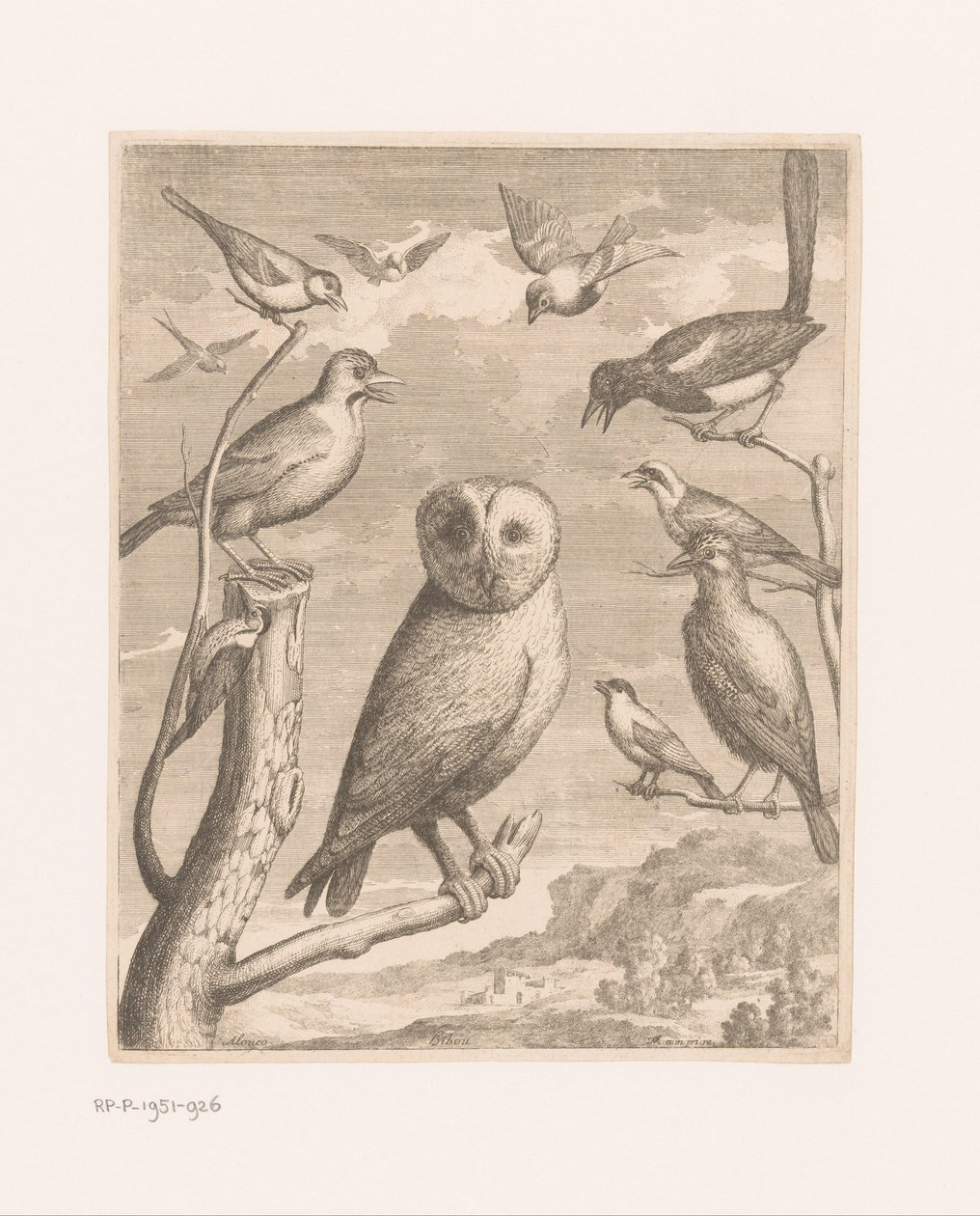 猫头鹰和其他鸟类
Alouco Hibou（物品上的标题）
凡尔赛动物园的鸟类（系列名称） 作者 尼古拉斯·罗伯特（可能）