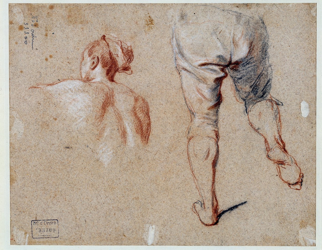 解剖学研究 Nicolas Vleughels (1668-1737) 18 世纪巴黎卢浮宫博物馆的油画 作者 尼古拉斯·维勒格尔斯