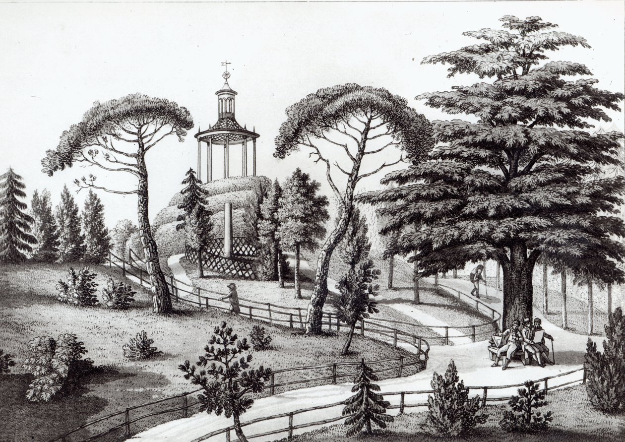 巴黎Jardin des Plantes的迷宫，由Francois Aubertin雕刻（177383-1821） 作者 尼古拉斯·尼古拉