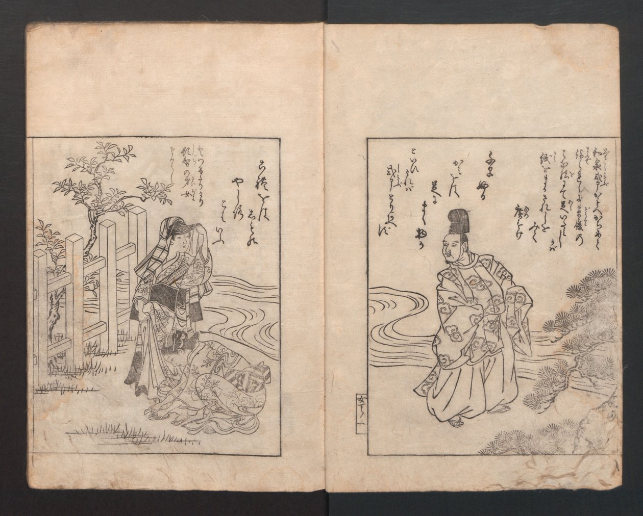 图画书：山茶花Ehon Himetsubaki，1745年。 作者 西川助信
