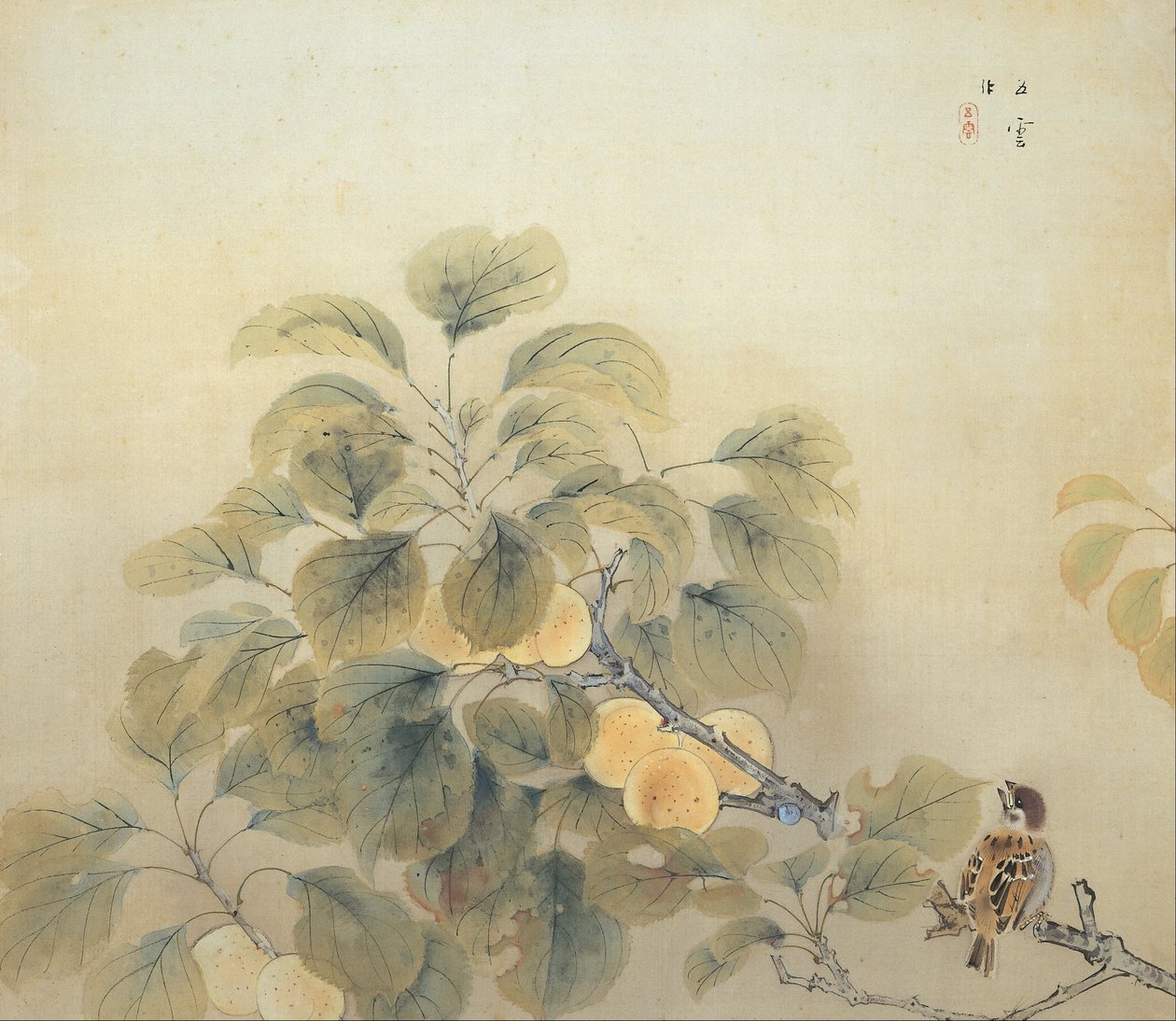 雨季 作者 西村刚
