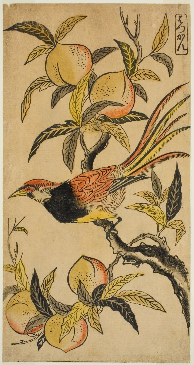 银雉（白雉） 作者 西村重永