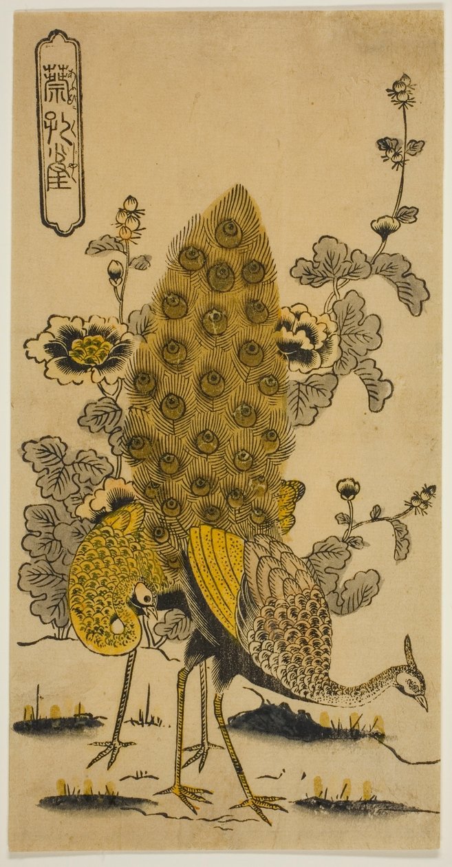 荷花与孔雀（《葵与孔雀） 作者 西村重信