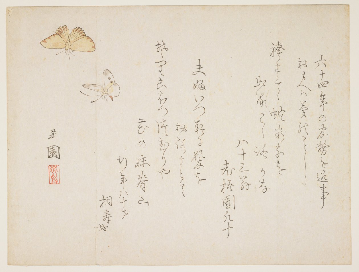 （蝴蝶） 作者 西山Ho