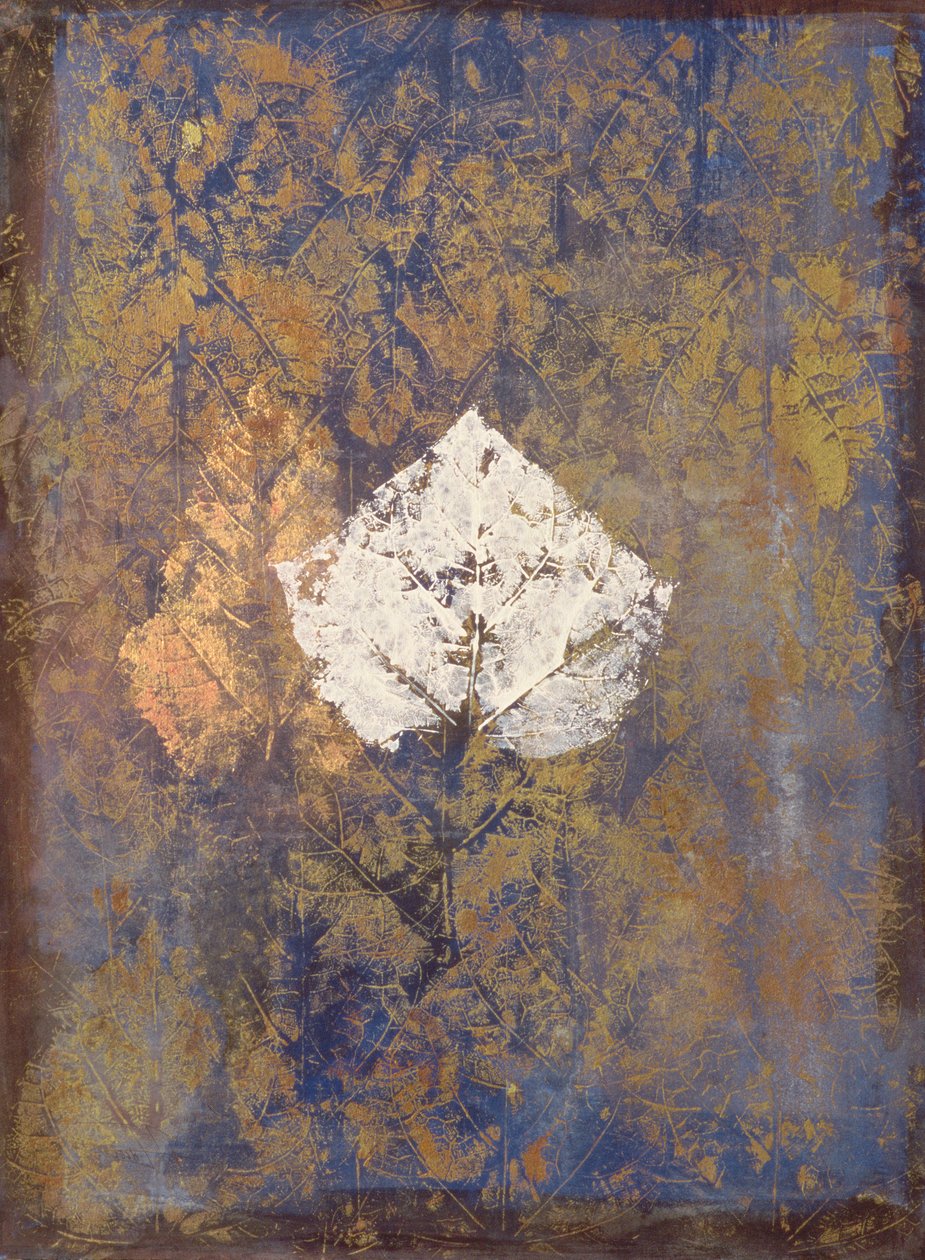 博罗梅奥 作者 