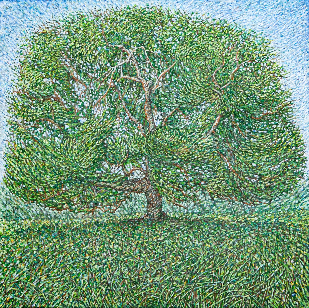 长夏之树，2024 年（亚麻布油画） 作者 诺埃尔·潘恩