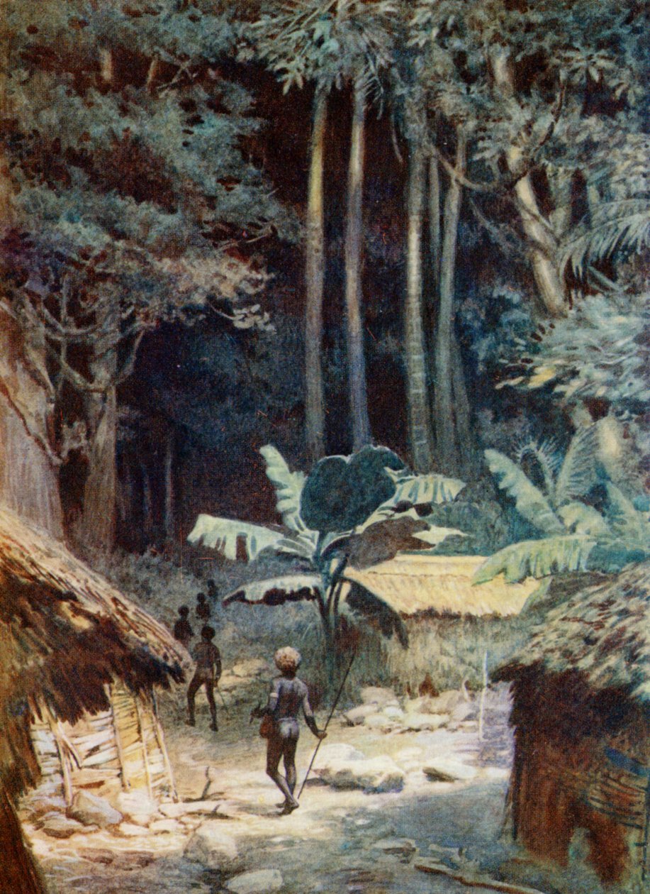 在1908年的美拉尼西亚森林的深处 作者 诺曼·哈迪