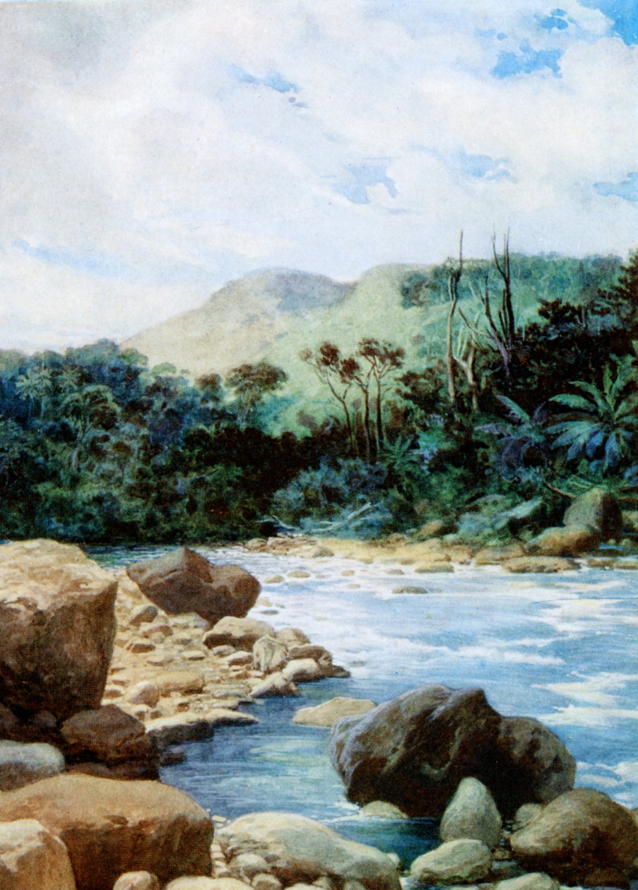 1908年新赫布里底群岛伊罗曼加的风景 作者 诺曼·哈迪
