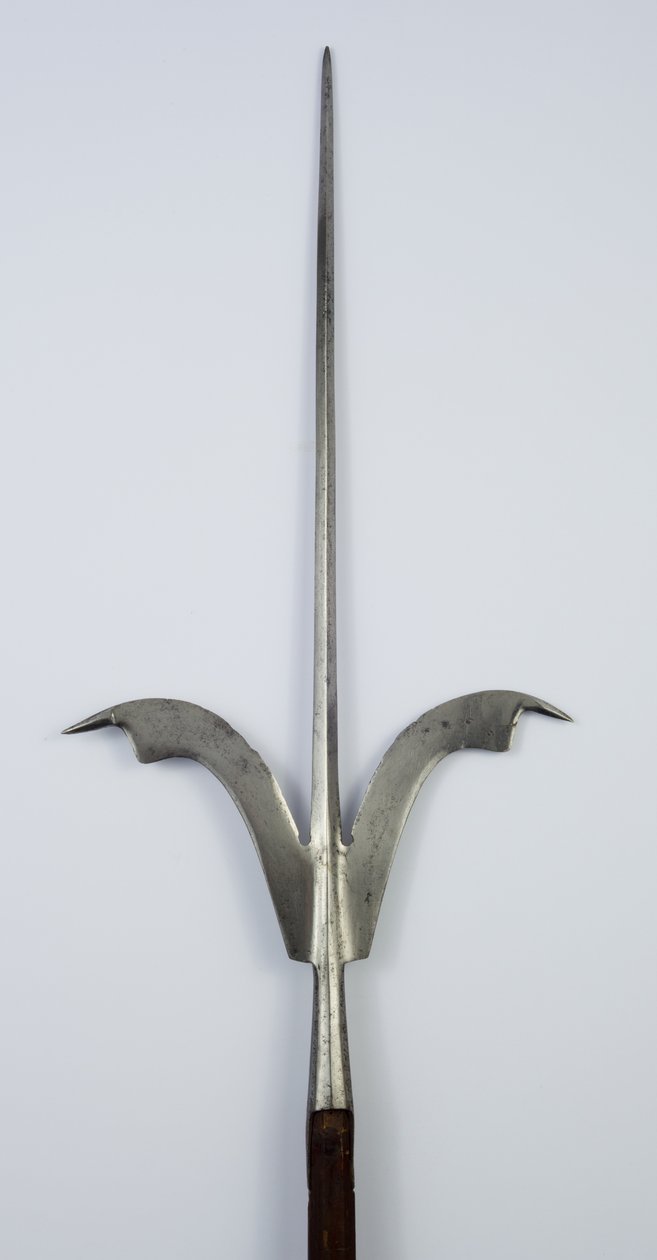 弗留利·斯皮尔（Friuli Spear），约1600年（钢和还原木） 作者 北意大利学校