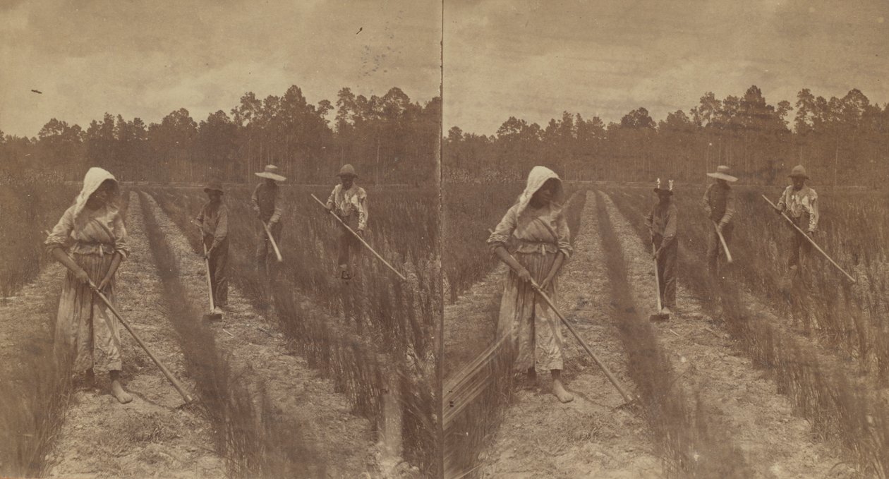 锄禾日当午，1876-1888。 作者 O.皮埃尔·哈文斯