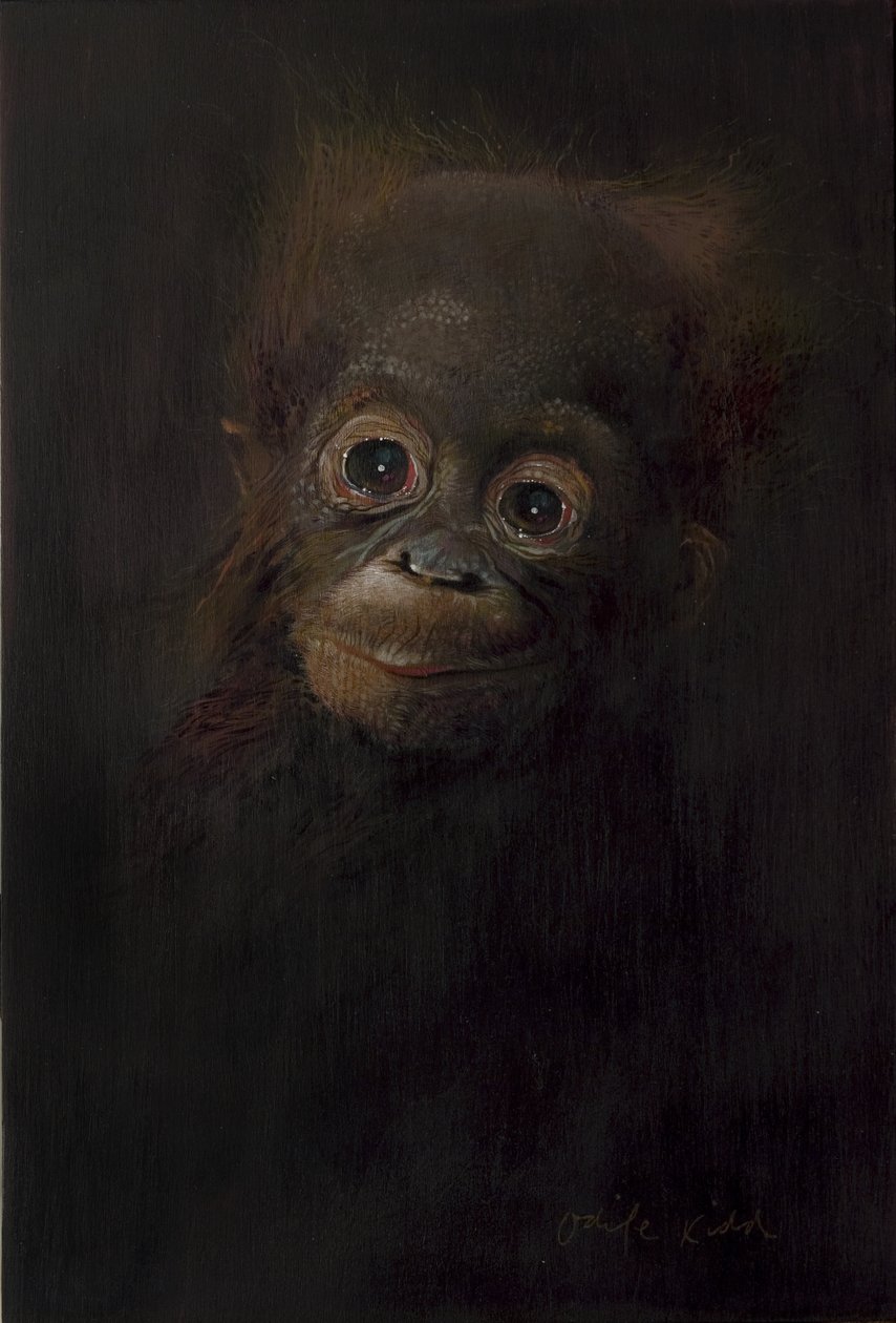 猩猩宝宝 1，2009 年（木板上的丙烯颜料） 作者 奥迪尔·基德