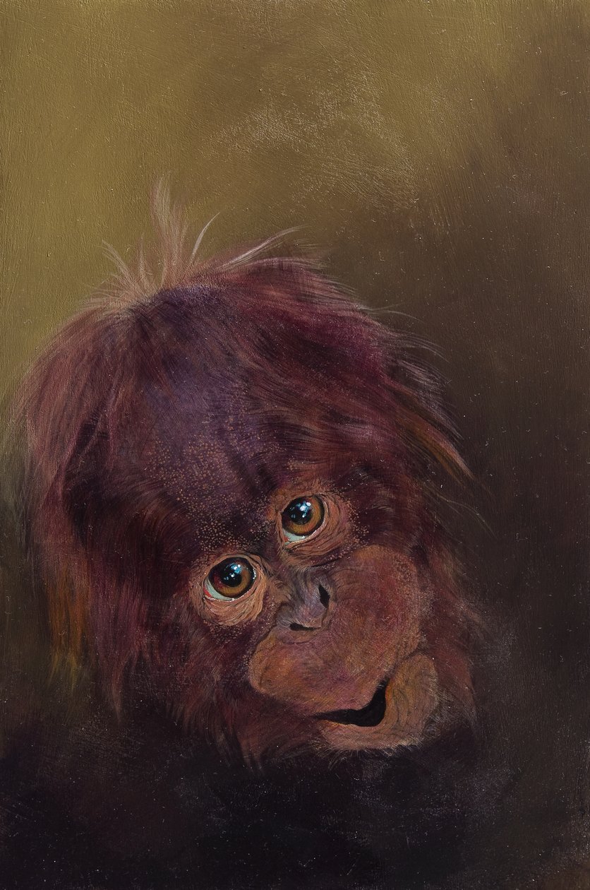 猩猩宝宝 2，2010 年（木板上的丙烯颜料） 作者 奥迪尔·基德