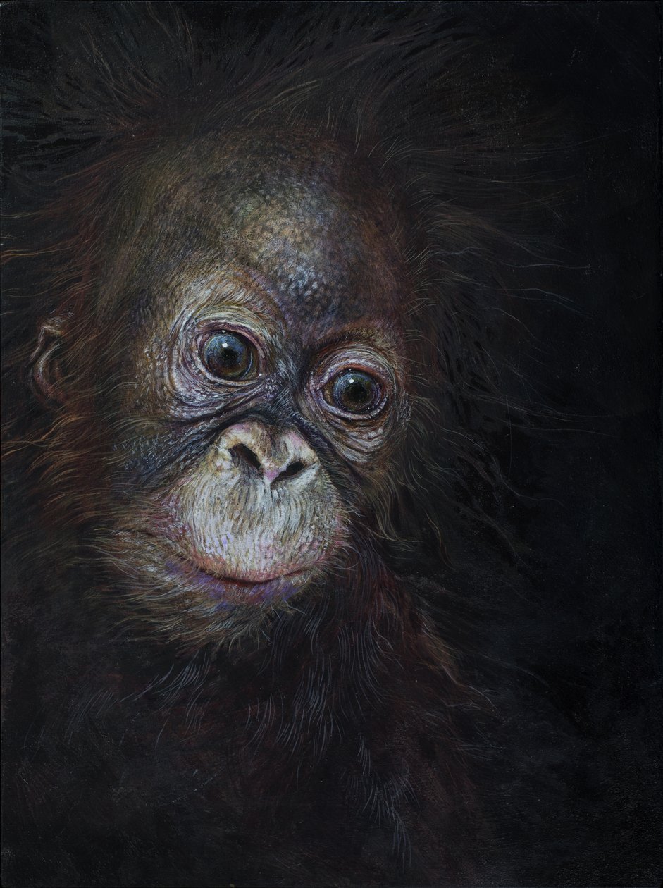 猩猩宝宝 3，2015 年（木板上的丙烯颜料） 作者 奥迪尔·基德