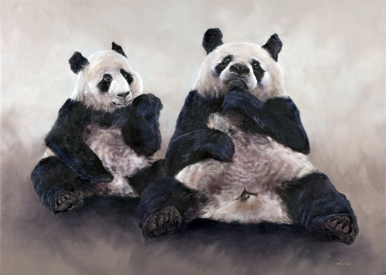 中国熊，皮秀，2014（丙烯酸画布） 作者 奥迪尔·基德