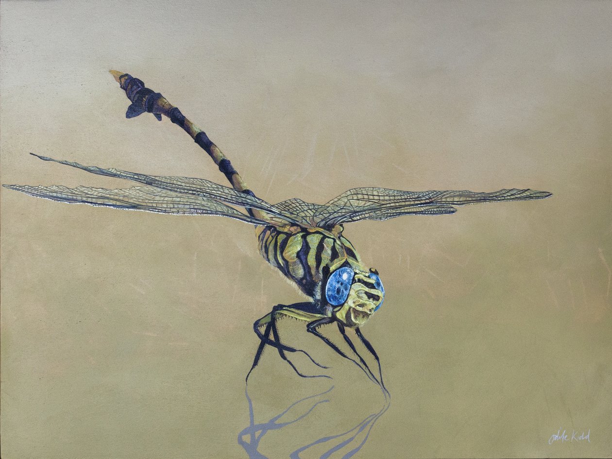 龙飞，2009 年（木板上的丙烯颜料） 作者 奥迪尔·基德