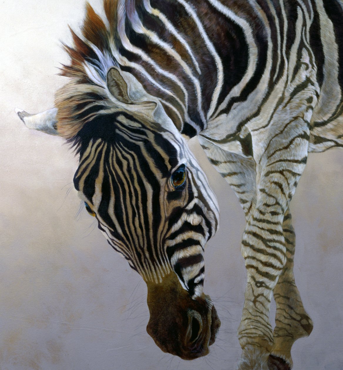 Equus burchelli 2（细节），2010 年（丙烯酸画布） 作者 奥迪尔·基德