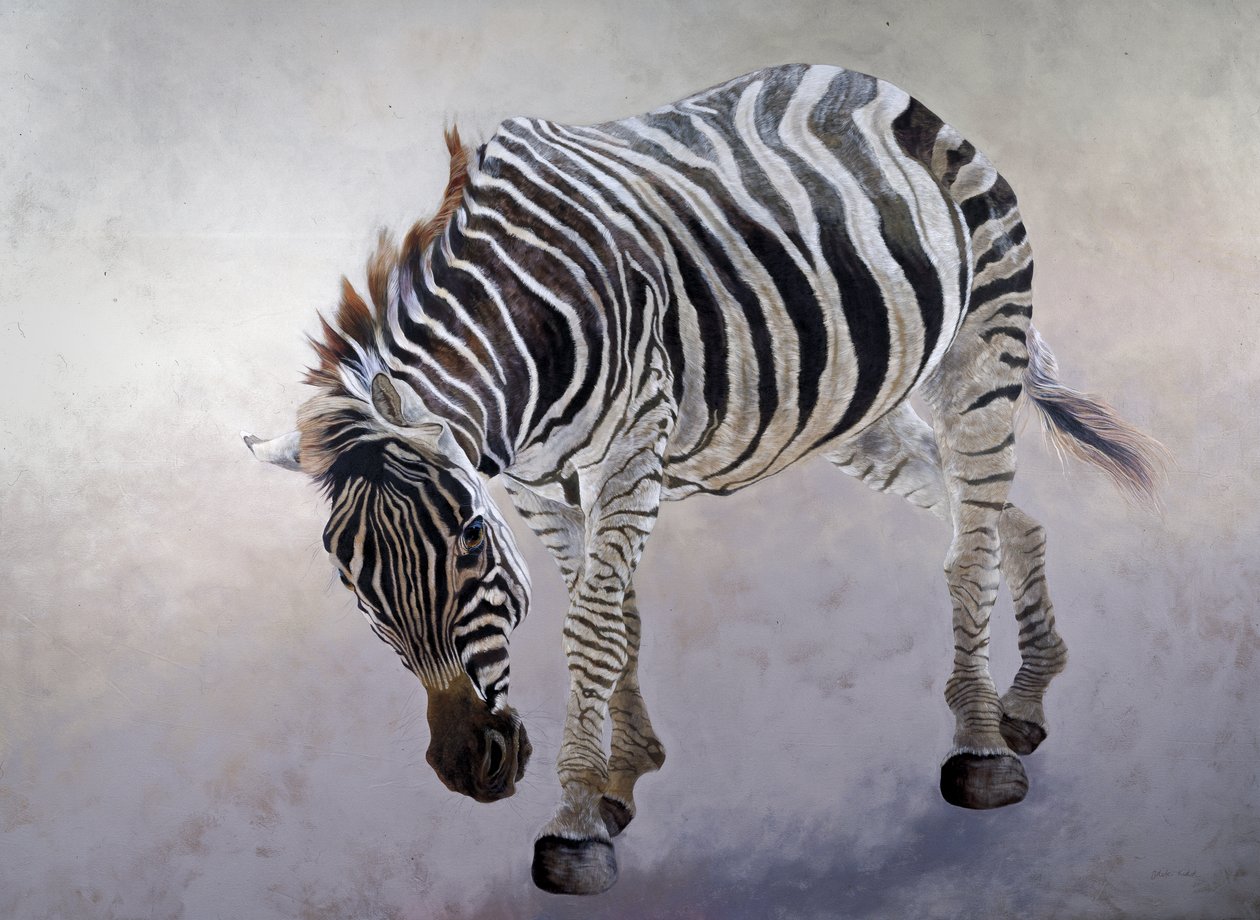 Equus burchelli 2，2010 年（丙烯酸画布） 作者 奥迪尔·基德