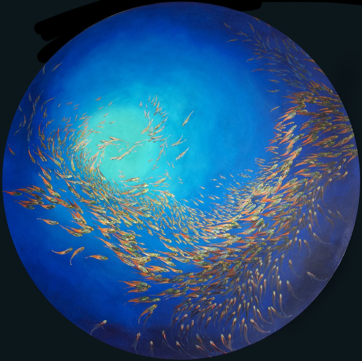 玻璃鱼 3，2012 年（亚麻布丙烯酸树脂，郁金香画框） 作者 奥迪尔·基德