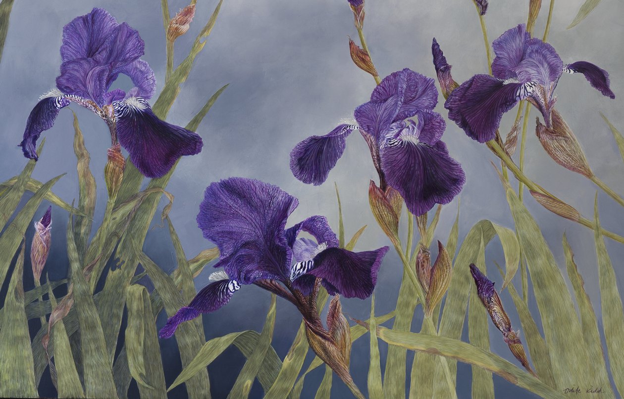杂色鸢尾花（细节），2015 年（石膏木板上的丙烯酸颜料） 作者 奥迪尔·基德