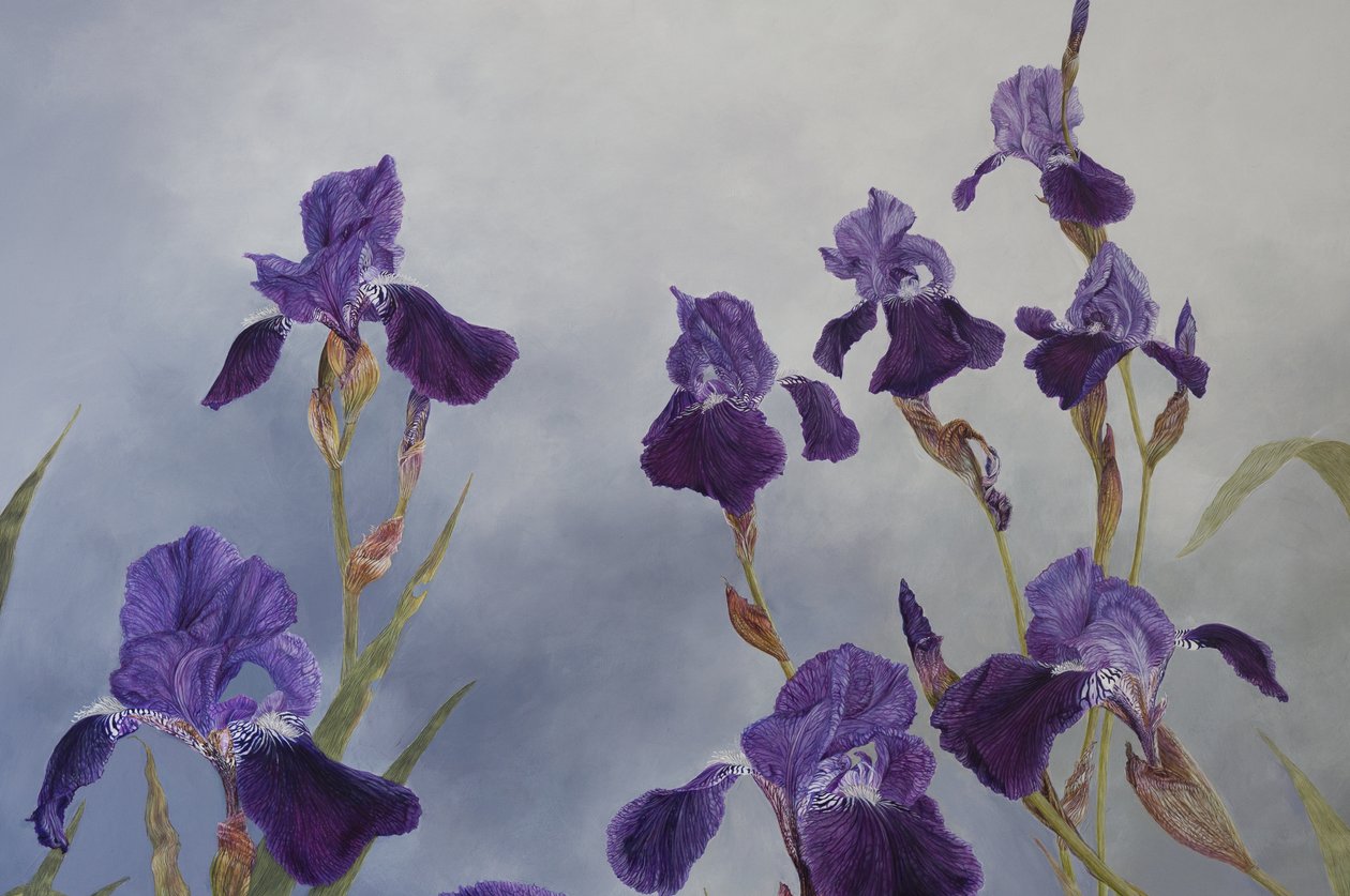 杂色鸢尾花（细节），2015 年（石膏木板上的丙烯酸颜料） 作者 奥迪尔·基德