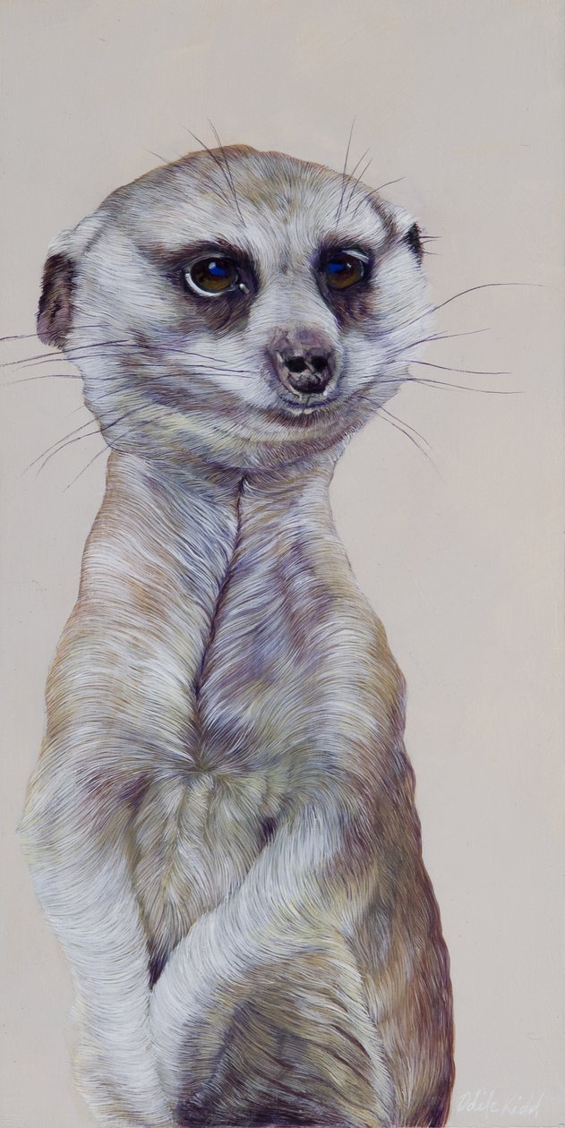 猫鼬 1，2009 年（木板上的丙烯画） 作者 奥迪尔·基德