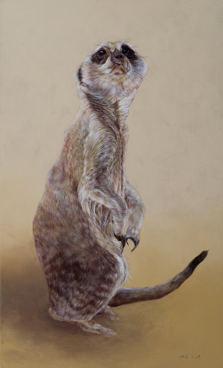 猫鼬 2，2010 年（木板上的丙烯画） 作者 奥迪尔·基德