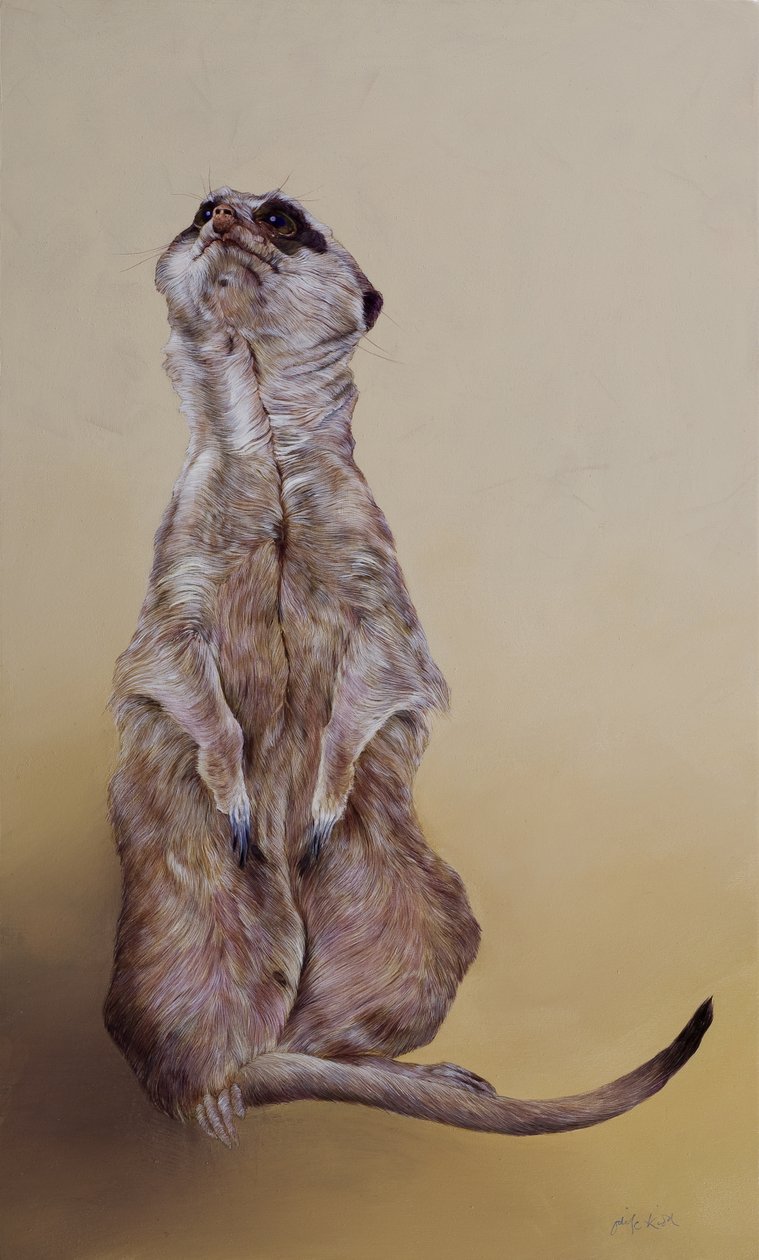 猫鼬 3，2010 年（木板上的丙烯画） 作者 奥迪尔·基德