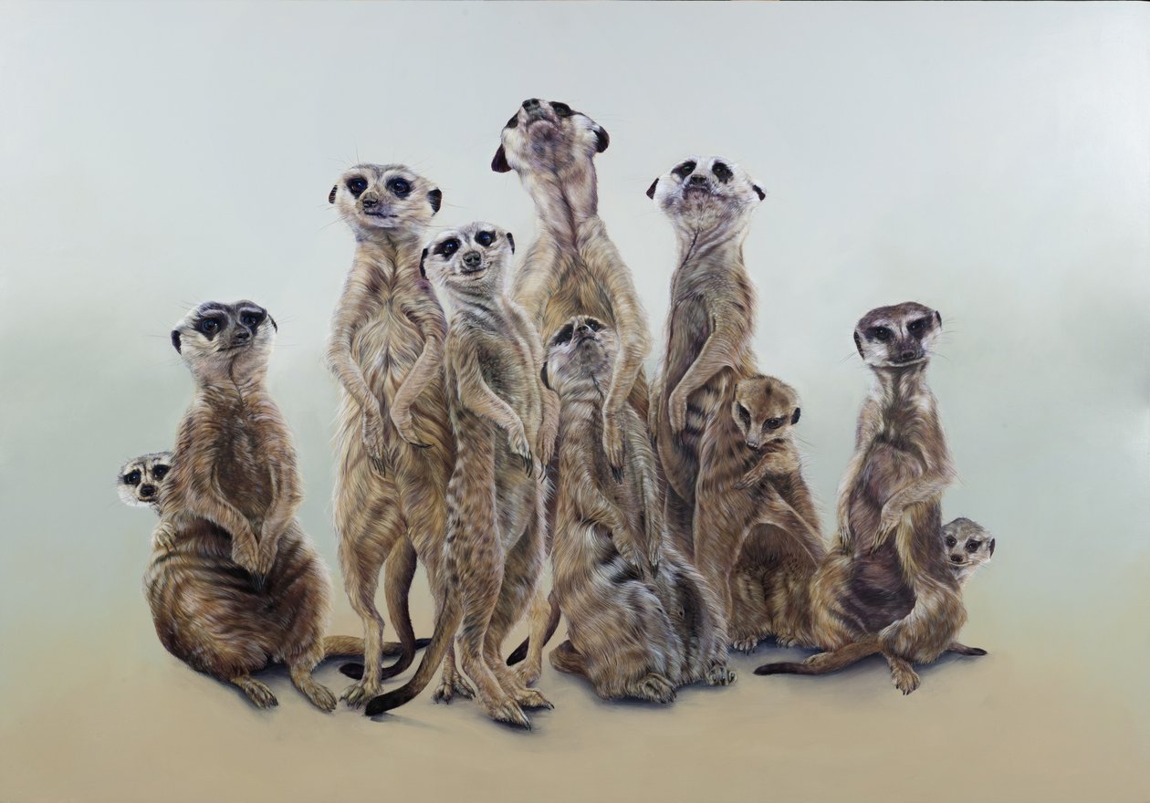 猫鼬暴徒，太阳天使，2013 年（石膏粉木板上的丙烯酸颜料） 作者 奥迪尔·基德
