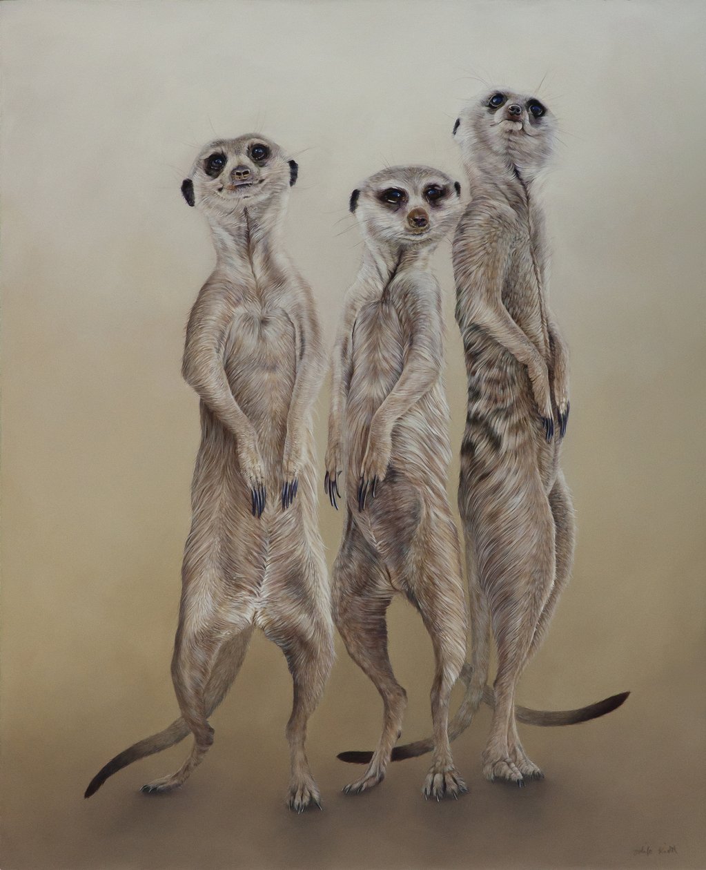 猫鼬，2014 年（石膏木板上的丙烯酸树脂） 作者 奥迪尔·基德