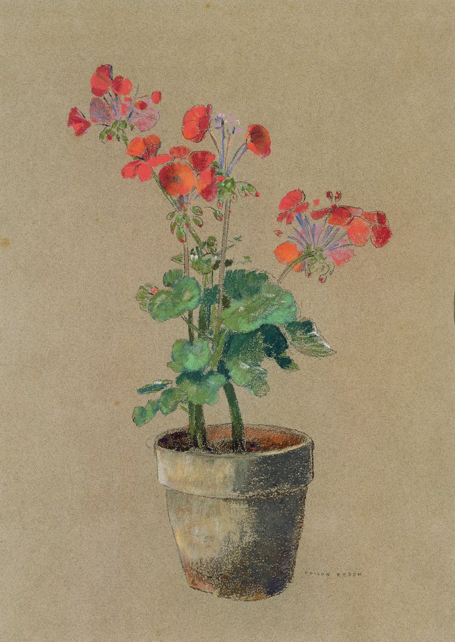 锅中的天竺葵（粉彩） 作者 奥迪隆·雷顿（Odilon Redon）