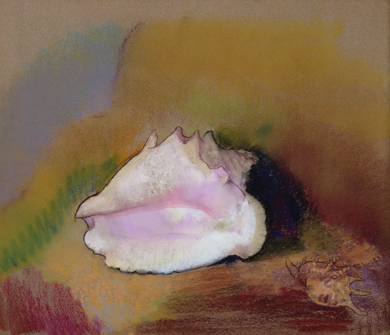 壳牌，1912年（纸上粉彩） 作者 奥迪隆·雷顿（Odilon Redon）