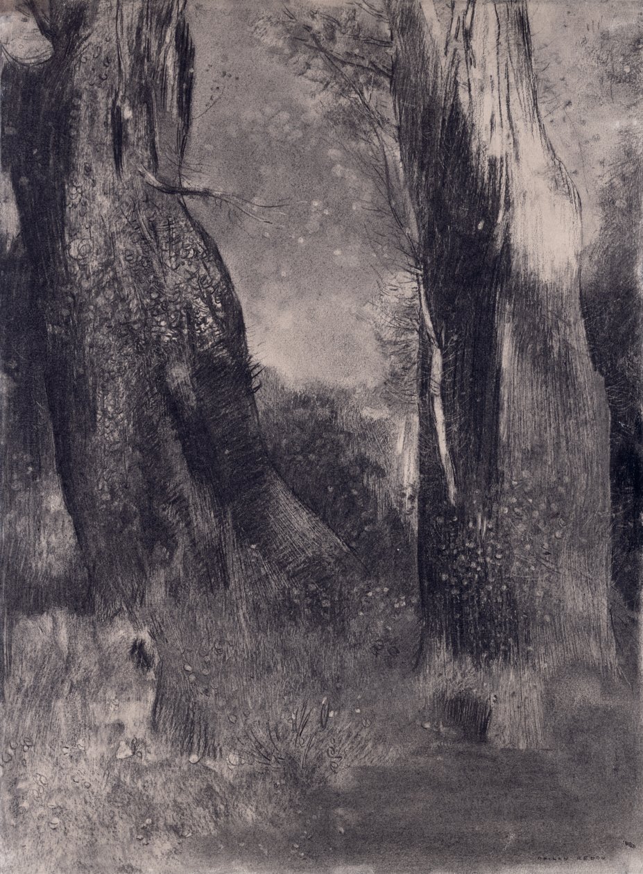 树木，19世纪90年代（纸上的木炭） 作者 奥迪隆·雷顿（Odilon Redon）