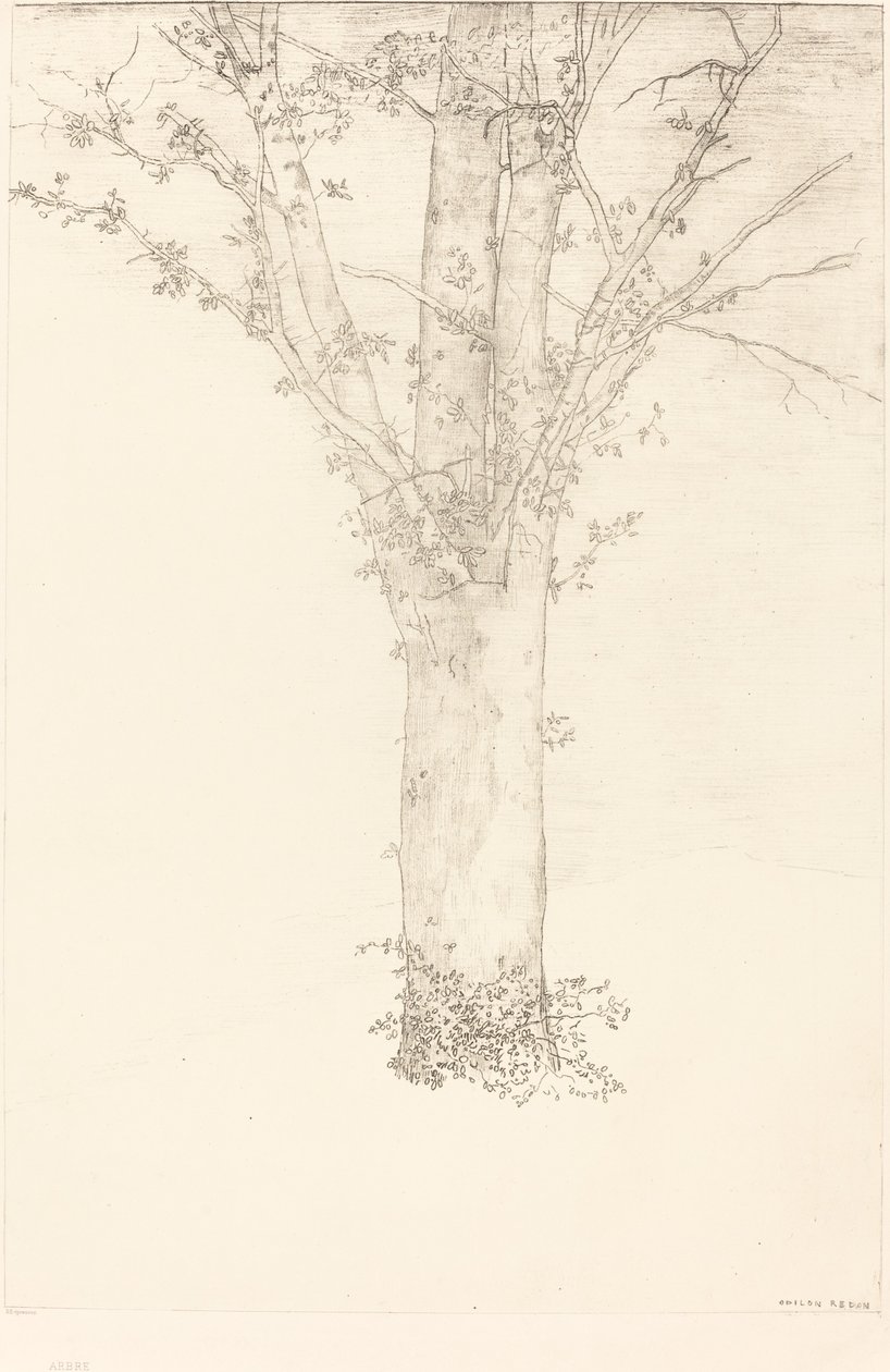 树 作者 奥迪隆·雷顿（Odilon Redon）
