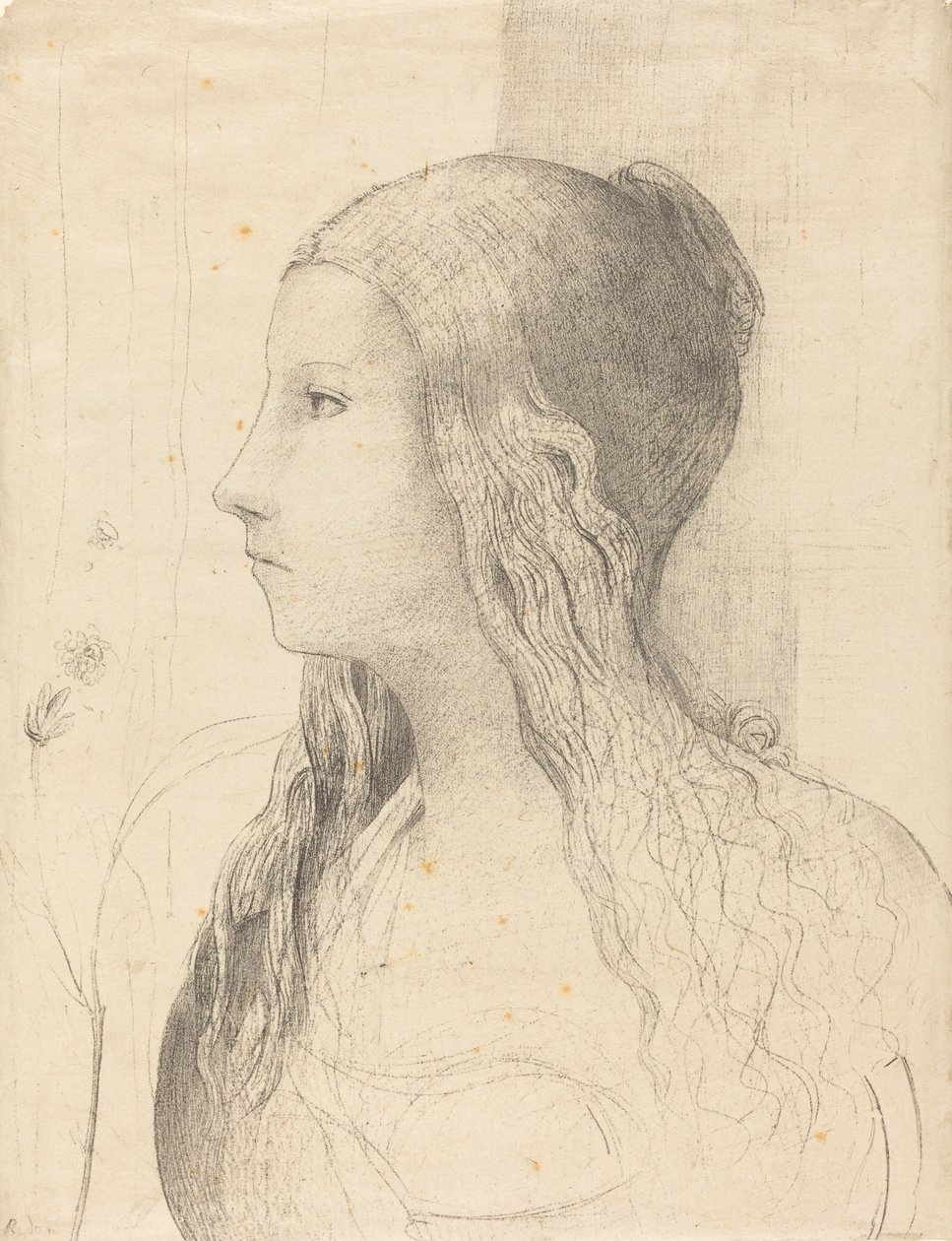 布伦希尔德 作者 奥迪隆·雷顿（Odilon Redon）