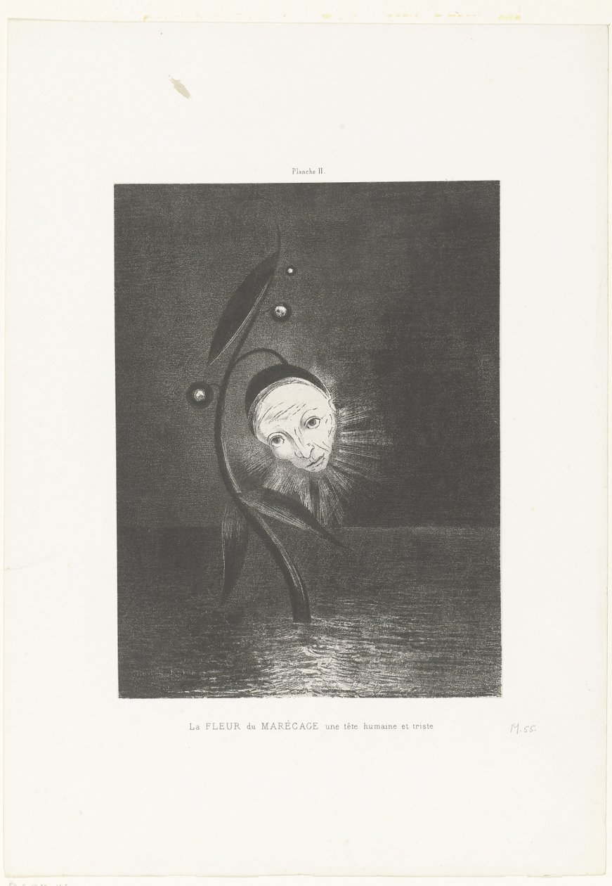 沼泽之花，一个人类而悲伤的头颅
La FLEUR du MARÉCAGE une tête humaine et triste（物名） 作者 奥迪隆·雷顿（Odilon Redon）