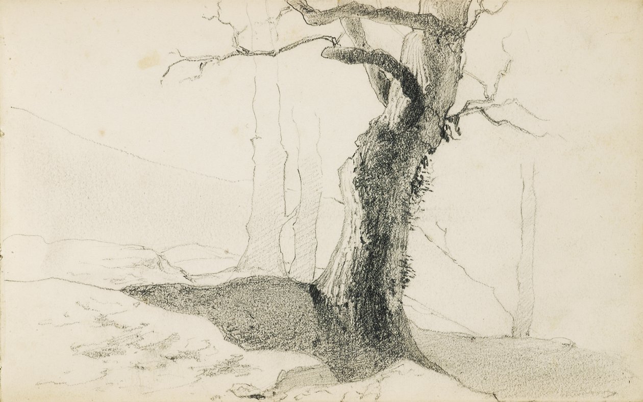 取自一张名为“巴斯克人的乡村”的相册，1862-63年 作者 奥迪隆·雷顿（Odilon Redon）