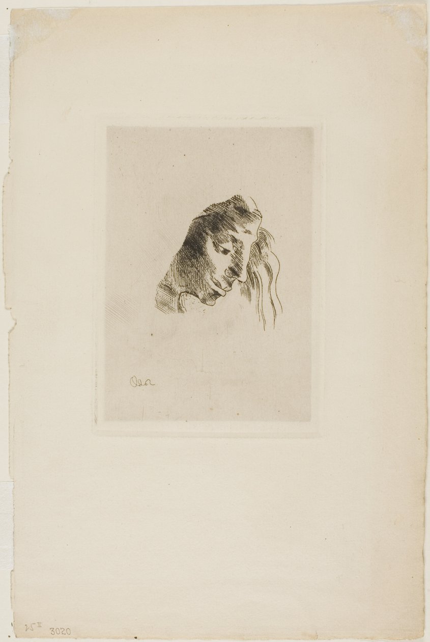 出借处 作者 奥迪隆·雷顿（Odilon Redon）