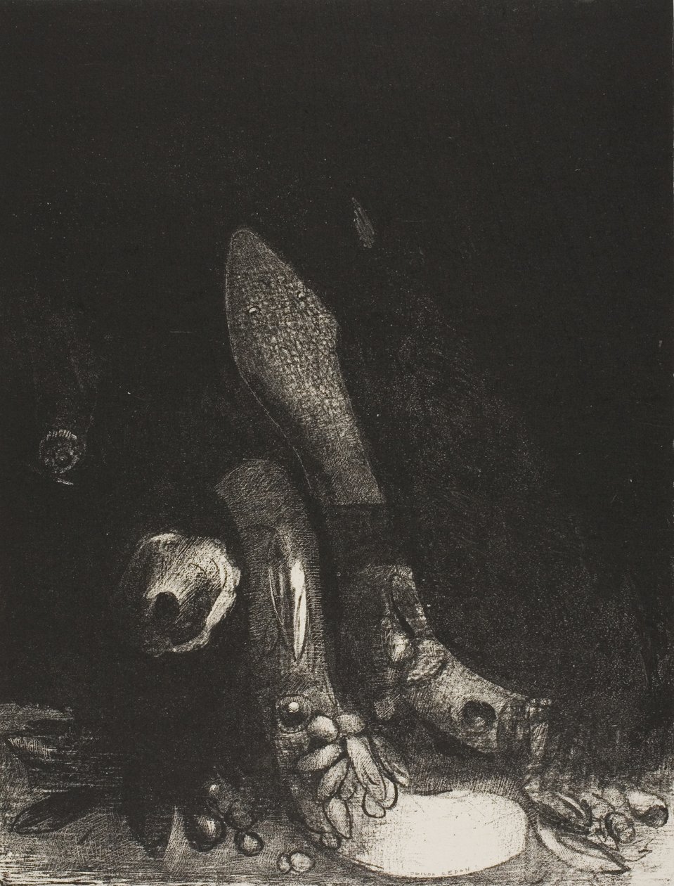 花落蟒蛇现》，第 5 版，共 24 页 作者 奥迪隆·雷顿（Odilon Redon）
