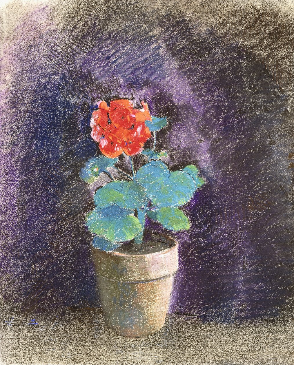 天竺葵 作者 奥迪隆·雷顿（Odilon Redon）