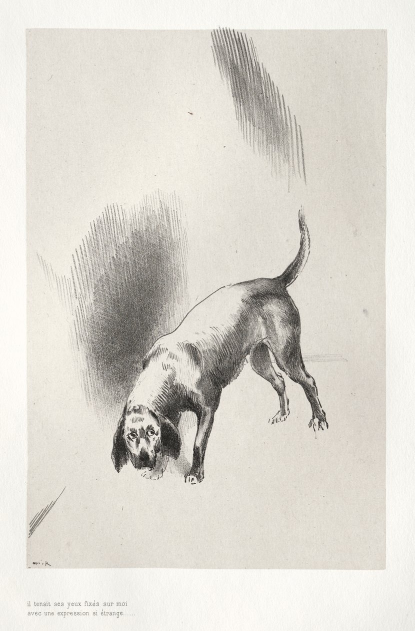他用一种奇怪的表情注视着我 作者 奥迪隆·雷顿（Odilon Redon）