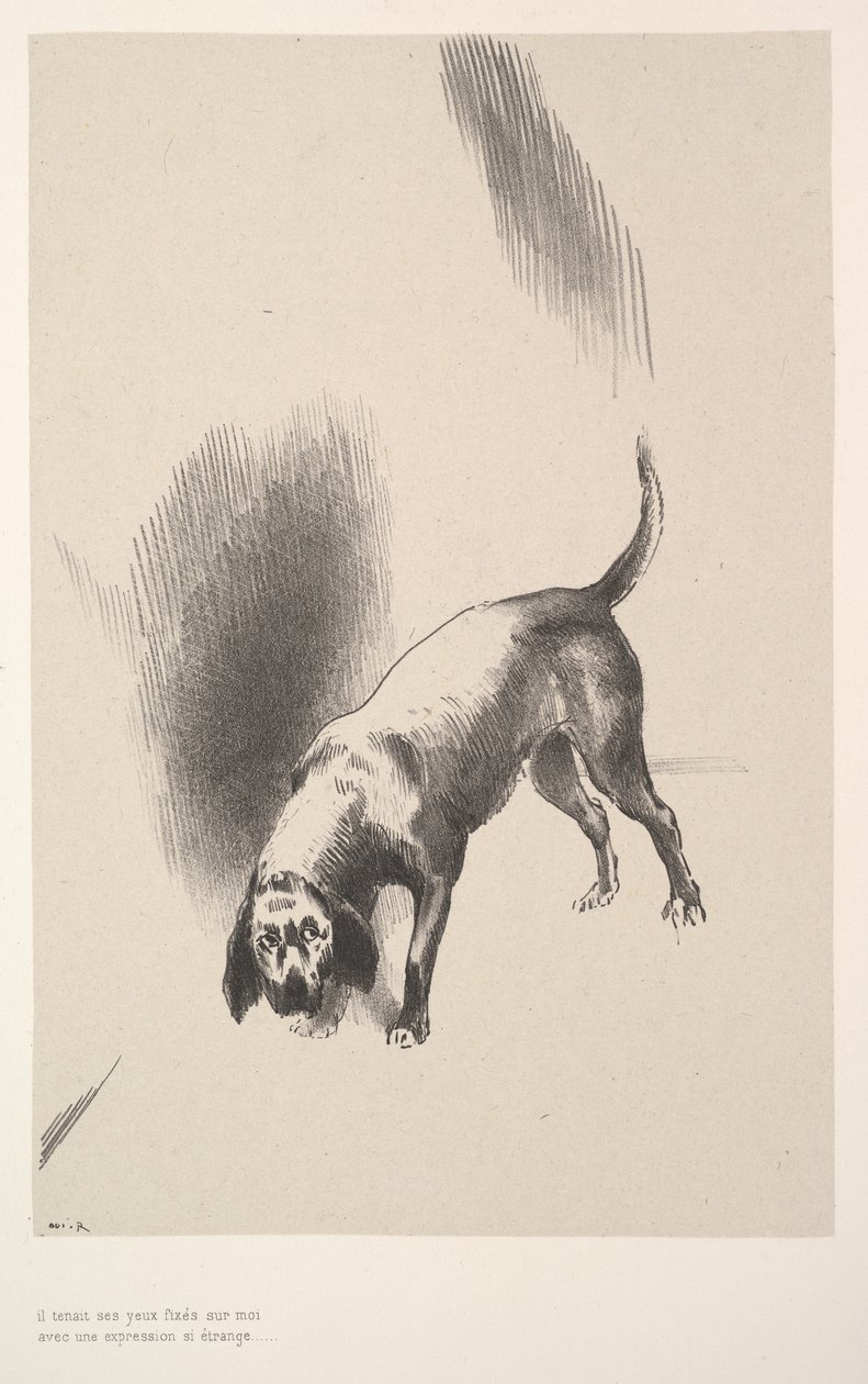 1896年，他以一种奇怪的表情盯着我。 作者 奥迪隆·雷顿（Odilon Redon）