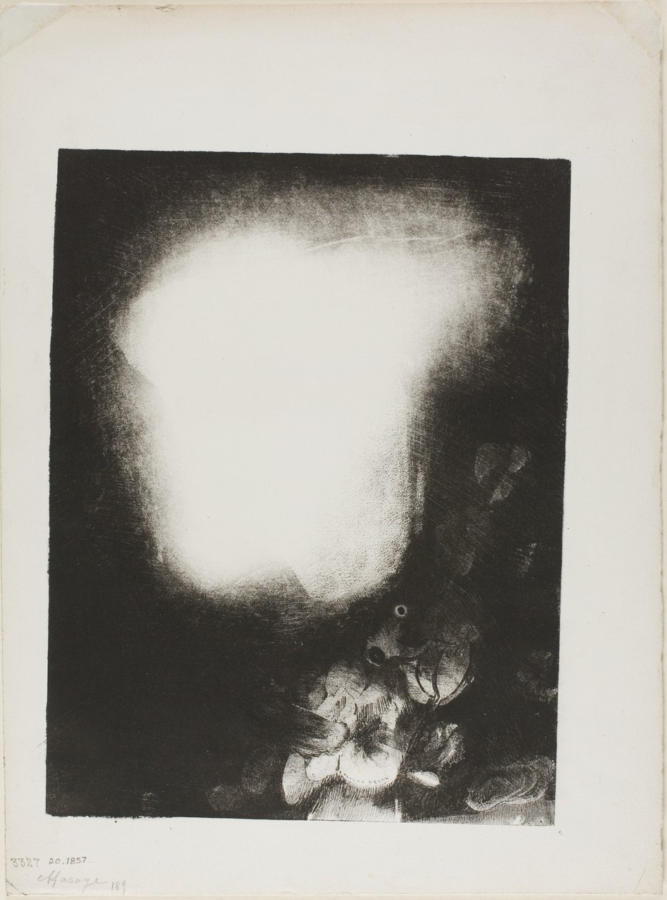 戴胸花的妇女头像 作者 奥迪隆·雷顿（Odilon Redon）